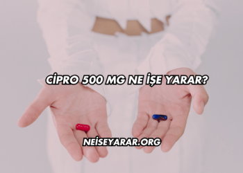 Cipro 500 Mg Ne İşe Yarar?