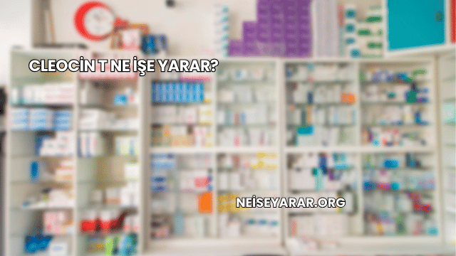 Cleocin T Ne İşe Yarar?