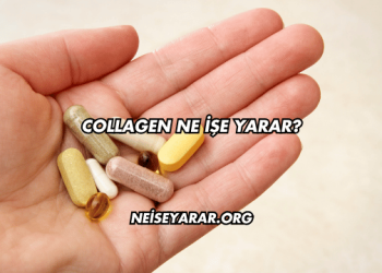Collagen Ne İşe Yarar?