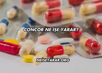 Concor Ne İşe Yarar?