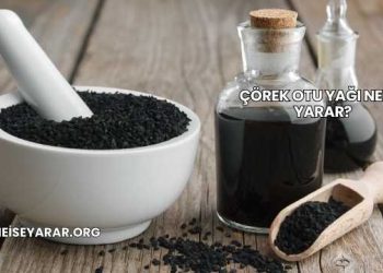 Çörek Otu Yağı Ne İşe Yarar?