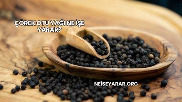 Çörek Otu Yağı Ne İşe Yarar?