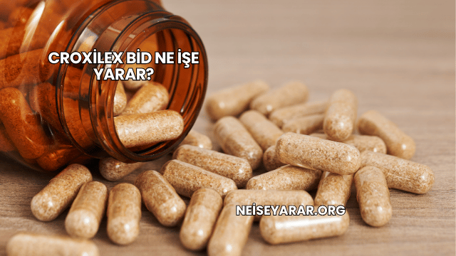 Croxilex Bid Ne İşe Yarar?