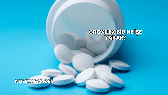 Croxilex Bid Ne İşe Yarar?