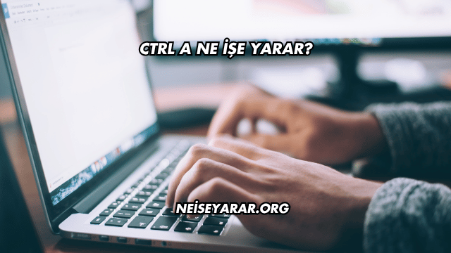 Ctrl A Ne İşe Yarar?