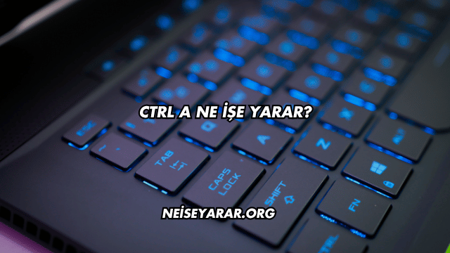 Ctrl A Ne İşe Yarar?
