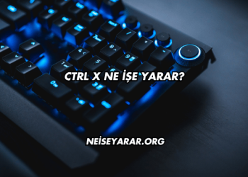 Ctrl X Ne İşe Yarar?