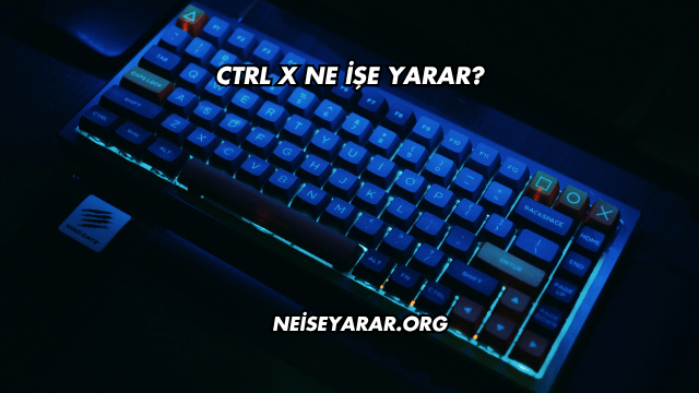 Ctrl X Ne İşe Yarar?