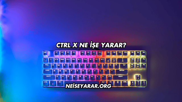 Ctrl X Ne İşe Yarar?