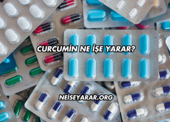 Curcumin Ne İşe Yarar?