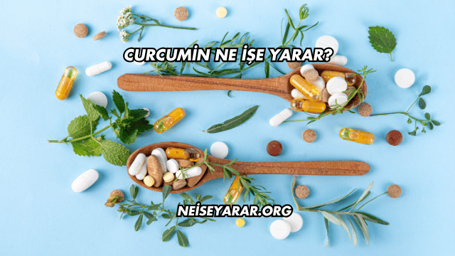 Curcumin Ne İşe Yarar?