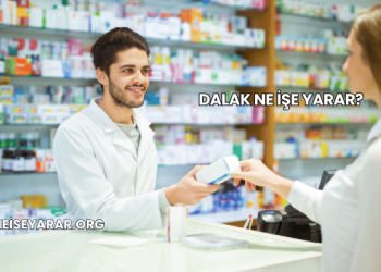 Dalak Ne İşe Yarar?