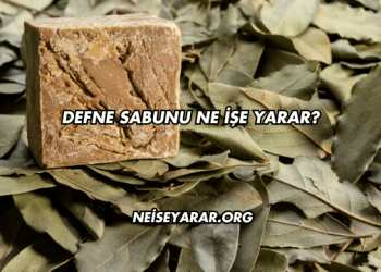 Defne Sabunu Ne İşe Yarar?