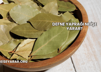 Defne Yaprağı Ne İşe Yarar?