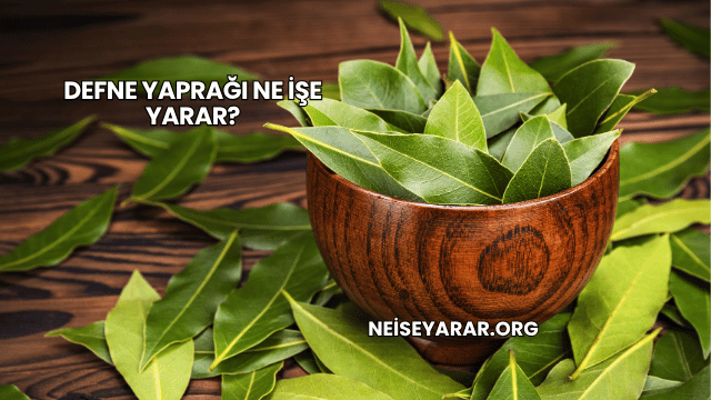 Defne Yaprağı Ne İşe Yarar?