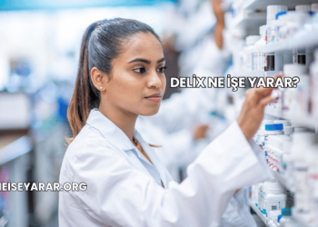 Delix Ne İşe Yarar?