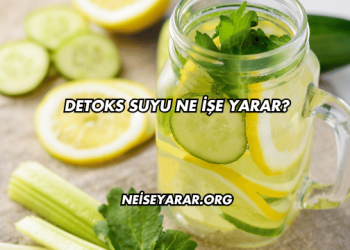 Detoks Suyu Ne İşe Yarar?