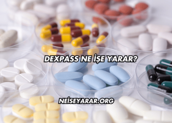 Dexpass Ne İşe Yarar?