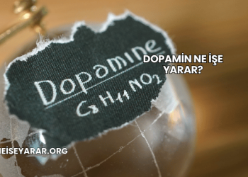 Dopamin Ne İşe Yarar?