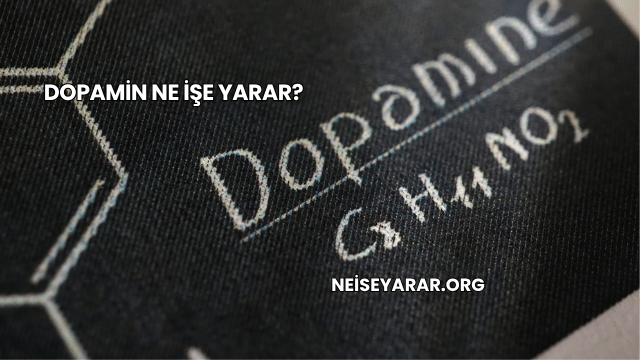 Dopamin Ne İşe Yarar?