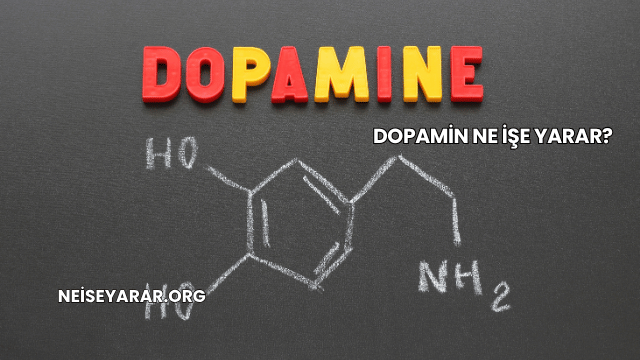 Dopamin Ne İşe Yarar?