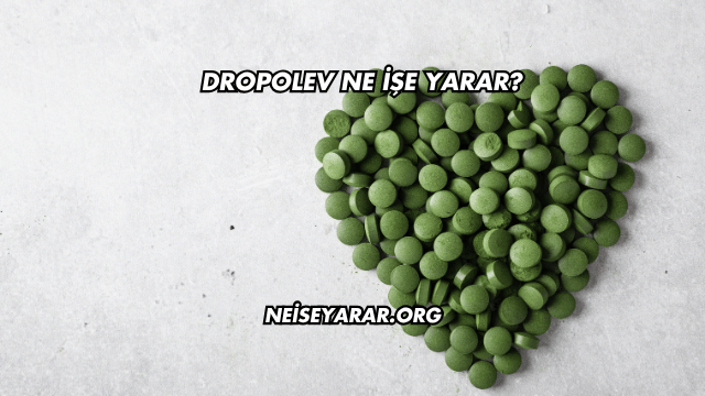 Dropolev Ne İşe Yarar?