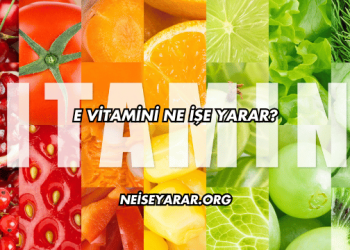 E Vitamini Ne İşe Yarar?
