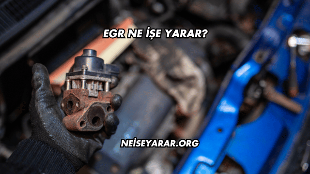 EGR Ne İşe Yarar?