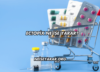 Ectopix Ne İşe Yarar?