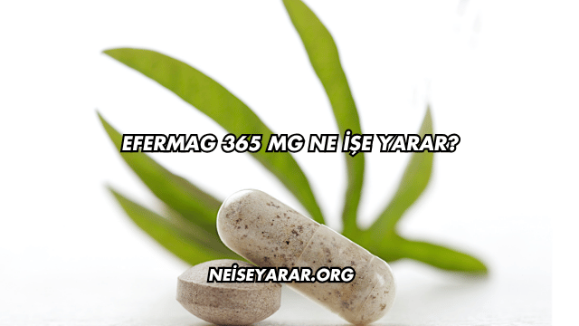 Efermag 365 Mg Ne İşe Yarar?