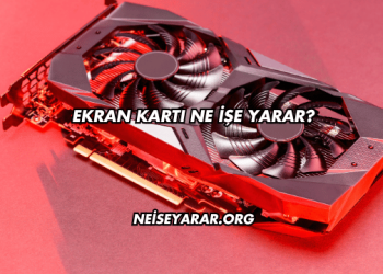 Ekran Kartı Ne İşe Yarar?