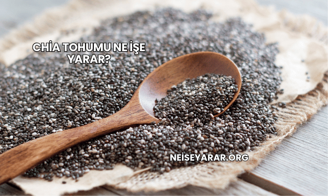 Chia Tohumu Ne İşe Yarar?