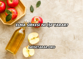 Elma Sirkesi Ne İşe Yarar?