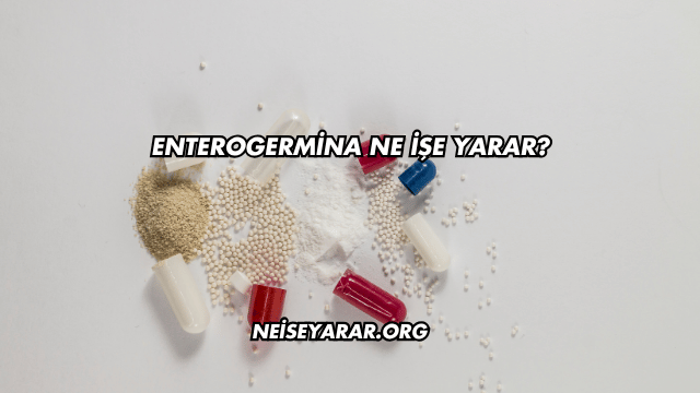 Enterogermina Ne İşe Yarar?