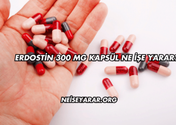 Erdostin 300 Mg Kapsül Ne İşe Yarar?