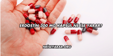 Erdostin 300 Mg Kapsül Ne İşe Yarar?