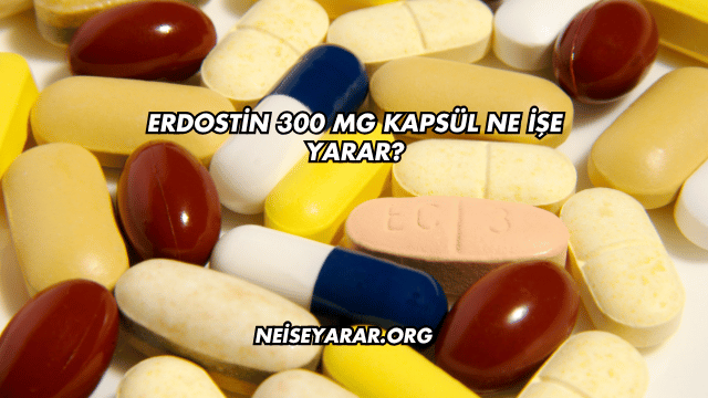 Erdostin 300 Mg Kapsül Ne İşe Yarar?