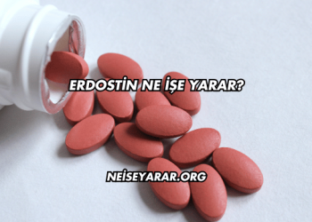 Erdostin Ne İşe Yarar?