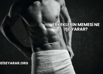 Erkeklerin Memesi Ne İşe Yarar?