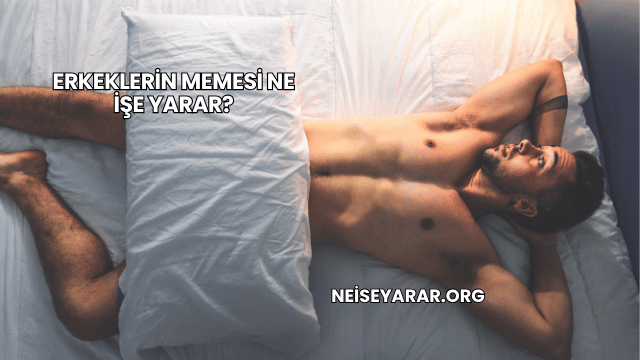 Erkeklerin Memesi Ne İşe Yarar?