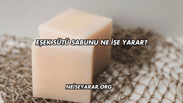 Eşek Sütü Sabunu Ne İşe Yarar?