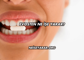Evosten Ne İşe Yarar?