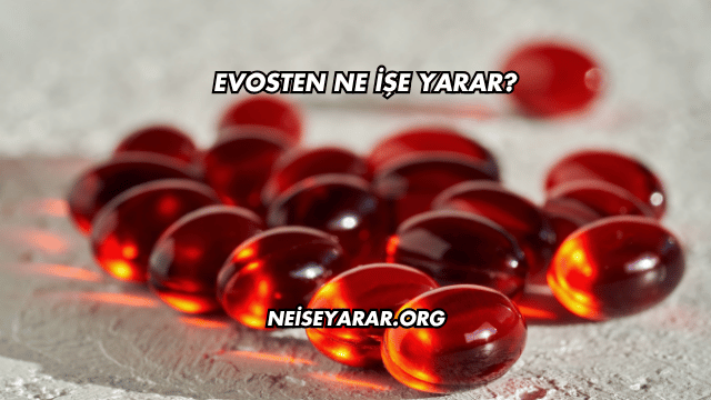 Evosten Ne İşe Yarar?