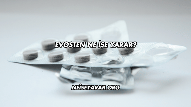 Evosten Ne İşe Yarar?