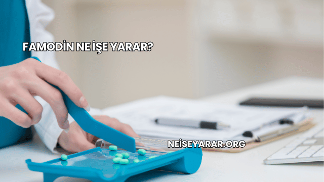 Famodin Ne İşe Yarar?