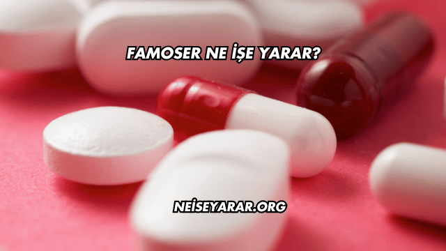 Famoser Ne İşe Yarar?