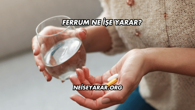 Ferrum Ne İşe Yarar?
