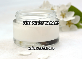 Fito Ne İşe Yarar