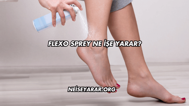 Flexo Sprey Ne İşe Yarar?