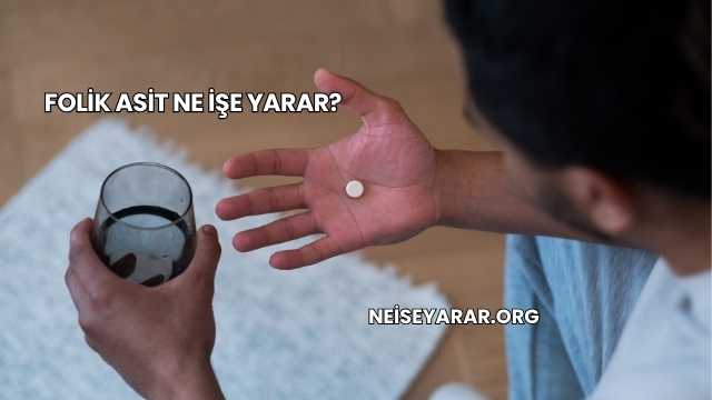 Folik Asit Ne İşe Yarar?